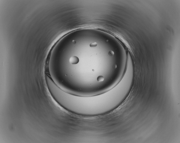 X0000112031484200908101327