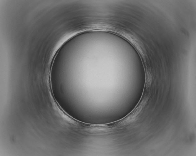 X0000112031486200908101327