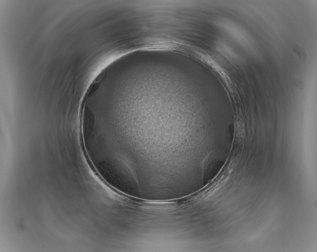 X0000112031487200908101327