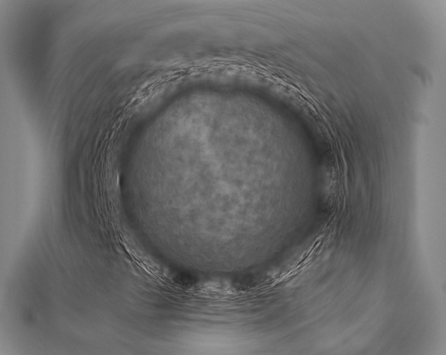 X0000112031489200908101327