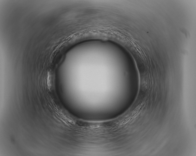 X0000112031490200908101327