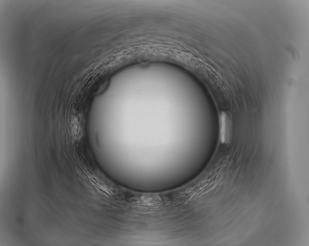 X0000112031491200908101327