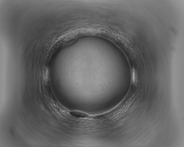 X0000112031492200908101327