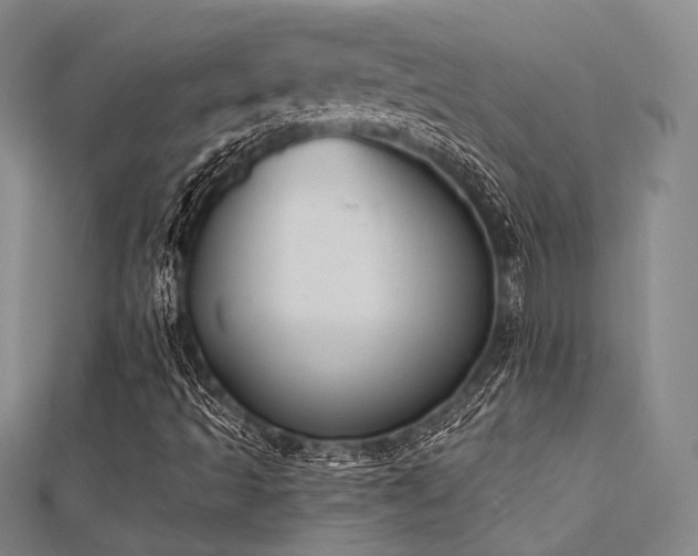 X0000112031493200908101327
