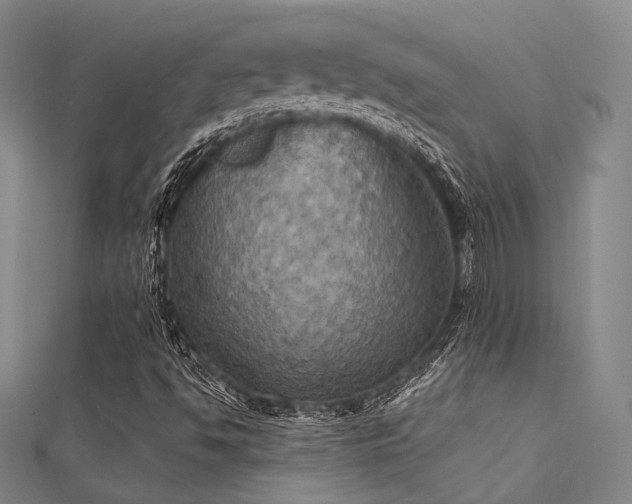 X0000112031494200908101327