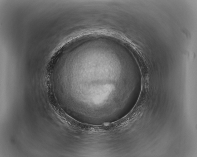 X0000112031496200908101327