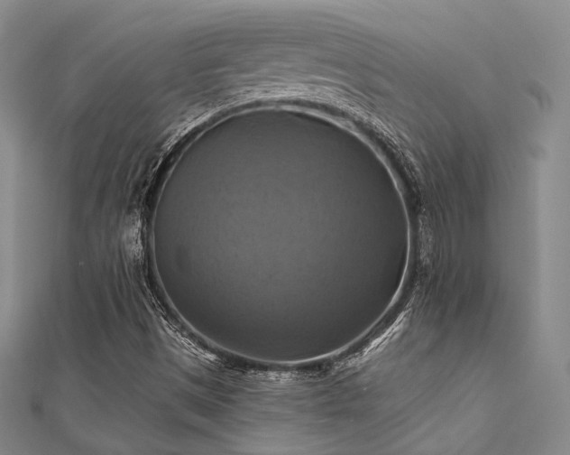 X0000112031497200908101327