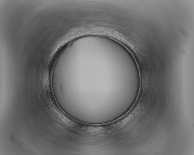X0000112031498200908101327
