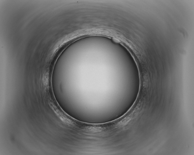 X0000112031499200908101327
