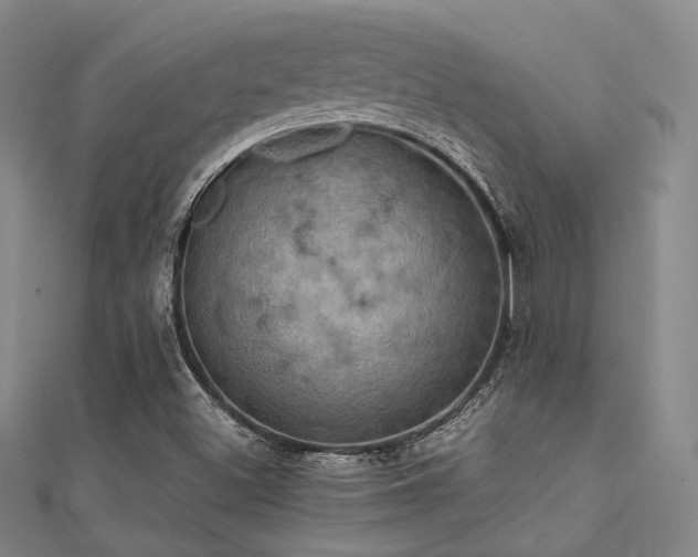 X0000112031500200908101327