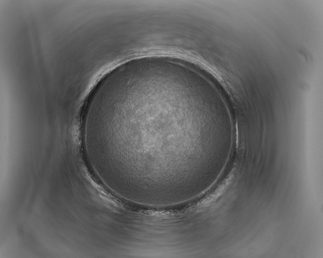 X0000112031501200908101327