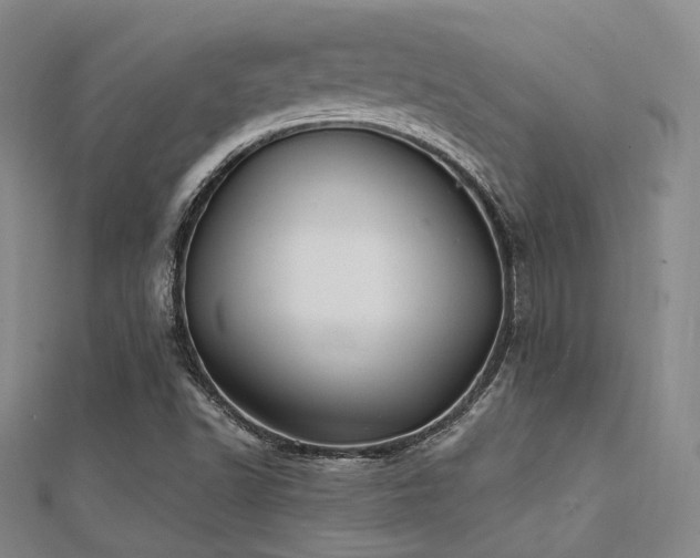 X0000112031502200908101327