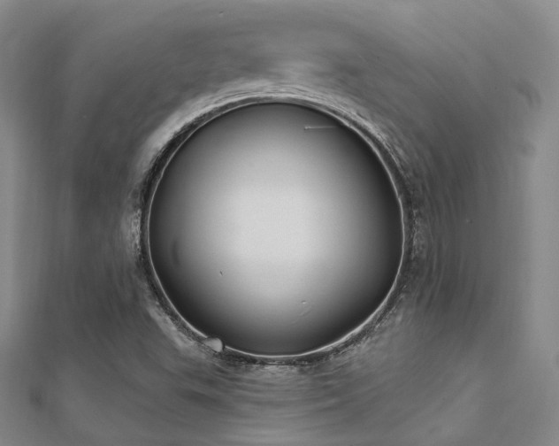 X0000112031503200908101327