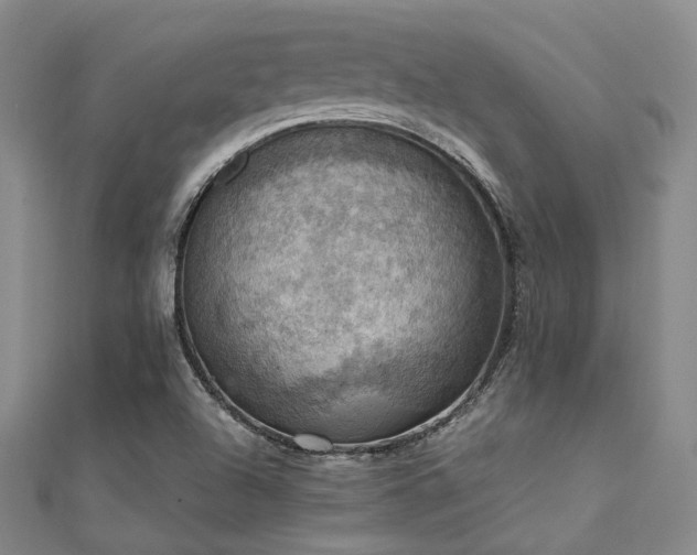 X0000112031504200908101327