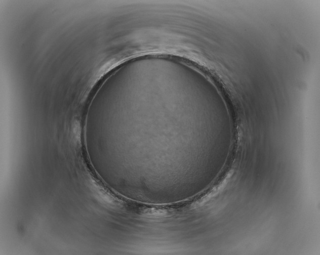 X0000112031505200908101327
