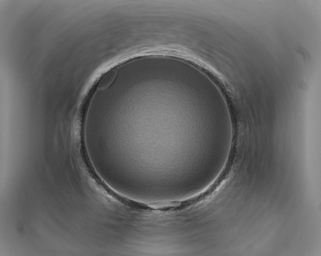 X0000112031506200908101327
