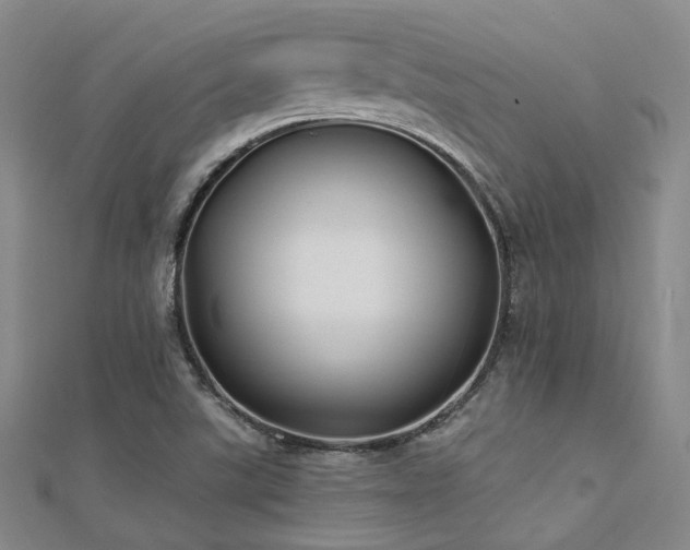 X0000112031507200908101327