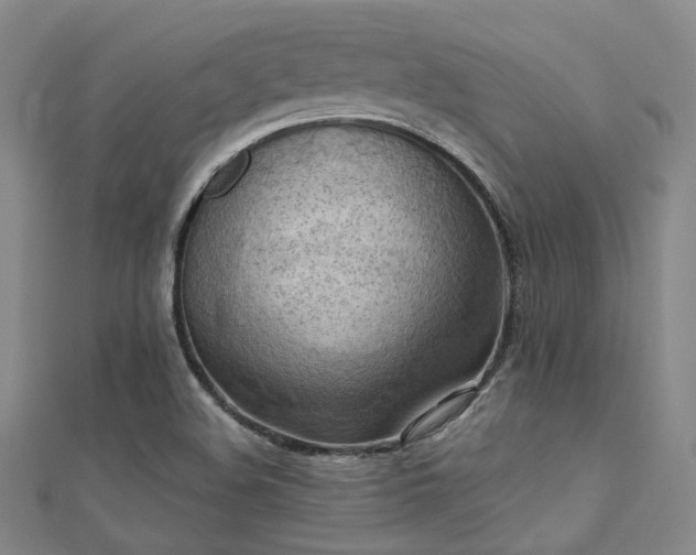 X0000112031508200908101327