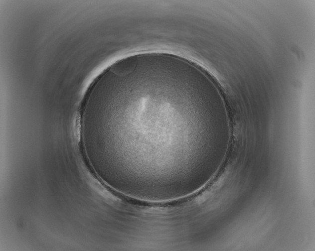 X0000112031510200908101327