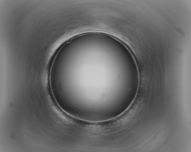 X0000112031511200908101327