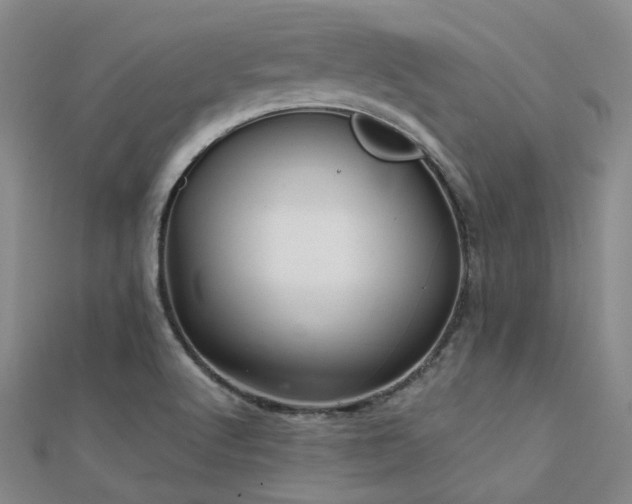 X0000112031512200908101327