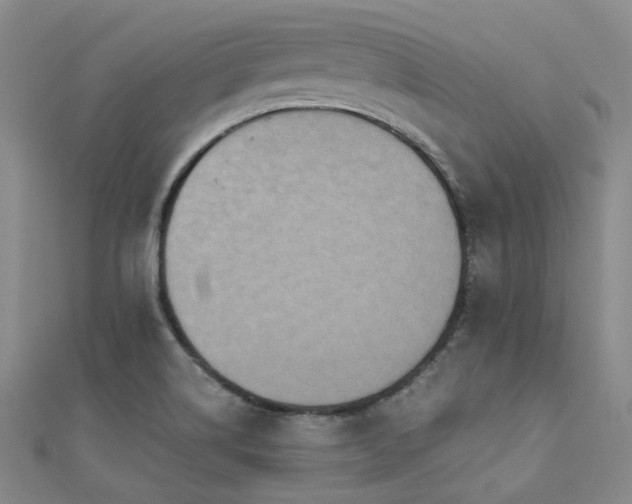 X0000112031514200908101327