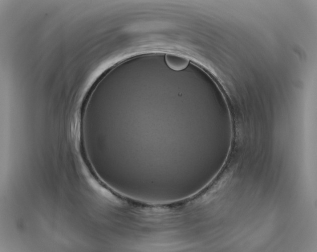 X0000112031515200908101327