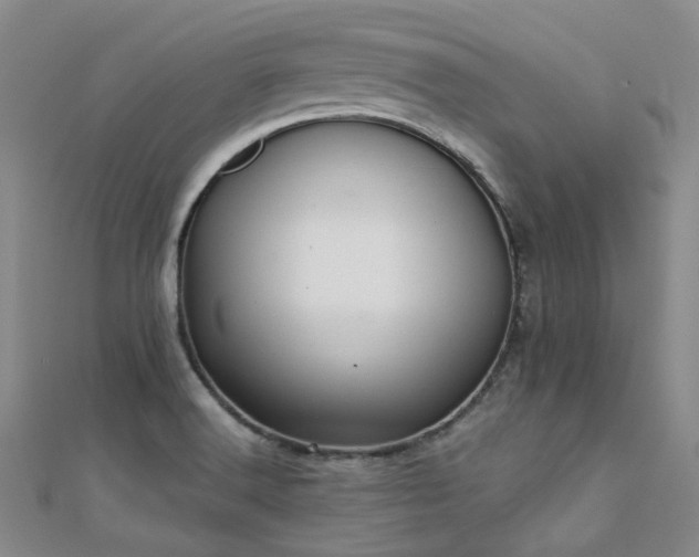 X0000112031516200908101327