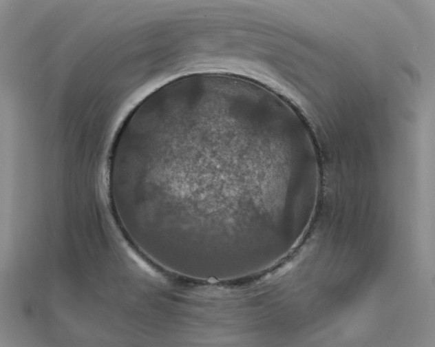 X0000112031517200908101327