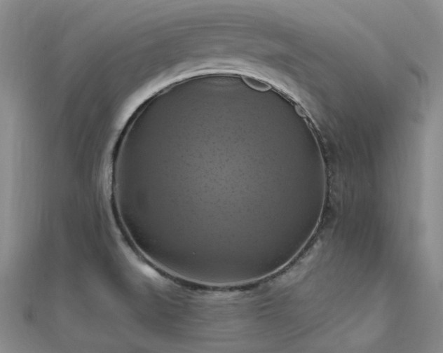X0000112031519200908101327