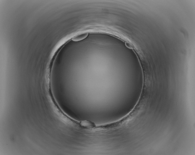 X0000112031522200908101327