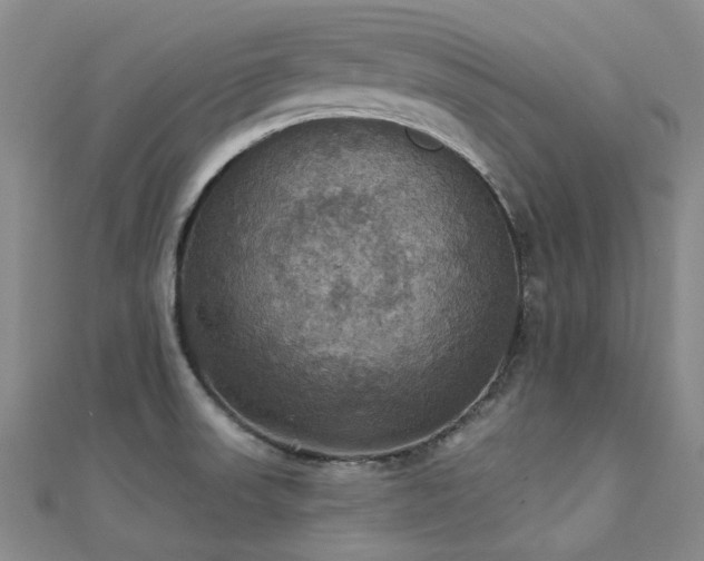 X0000112031523200908101327