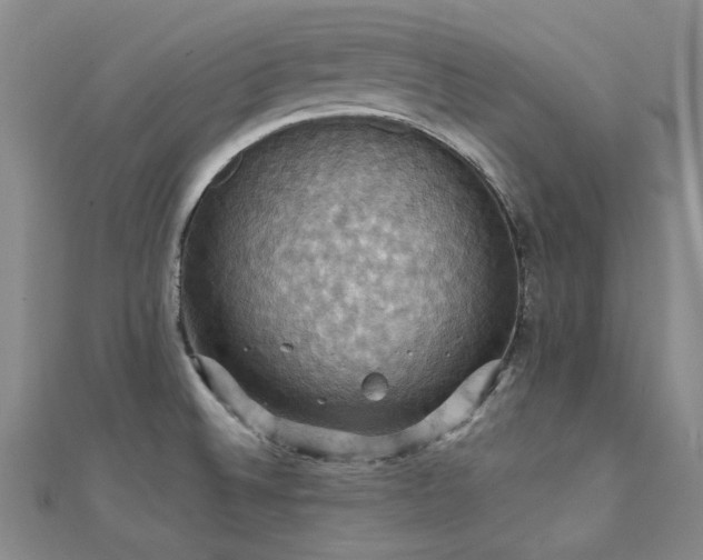 X0000112031524200908101327