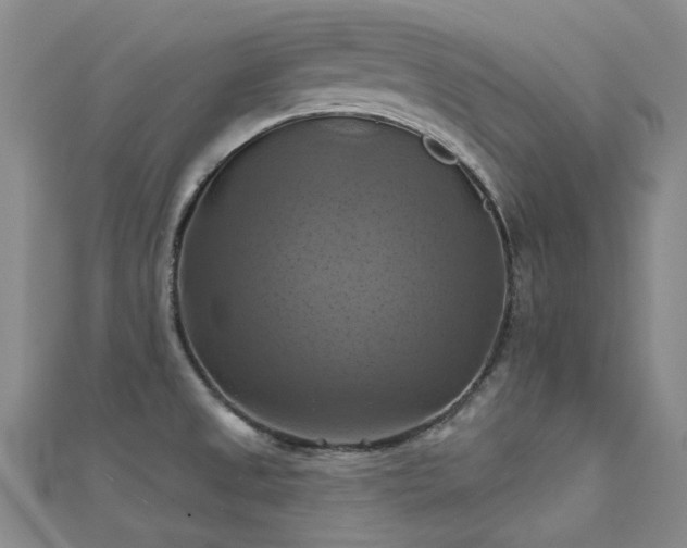 X0000112031525200908101327