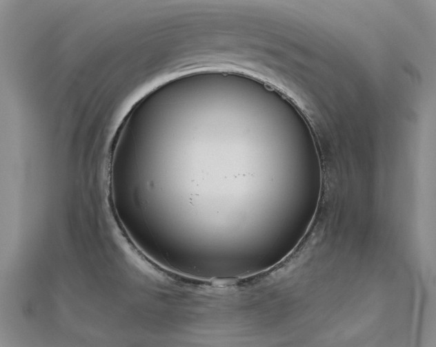 X0000112031526200908101327