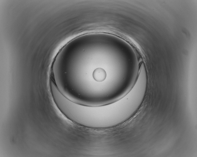 X0000112031528200908101327