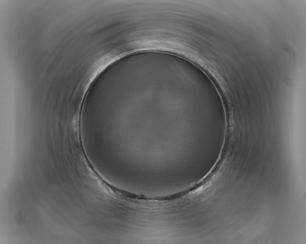 X0000112031529200908101327