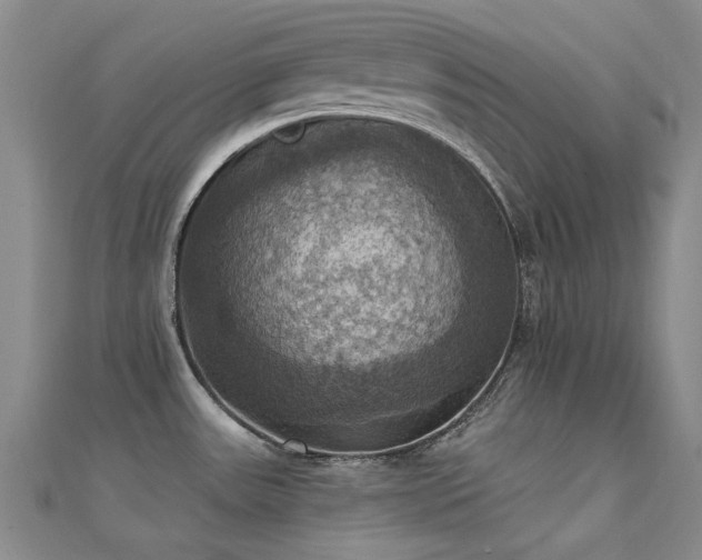 X0000112031531200908101327