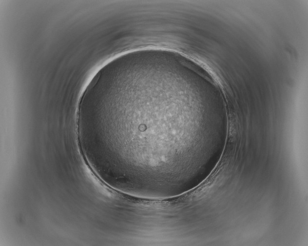 X0000112031532200908101327