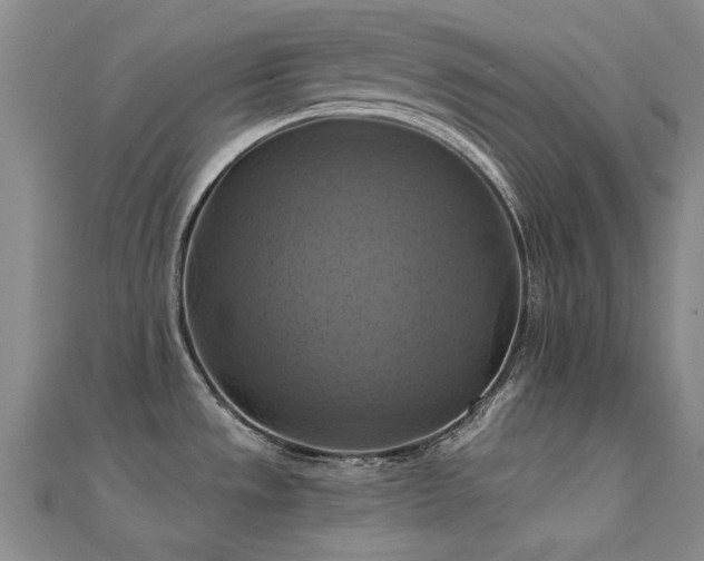 X0000112031533200908101327