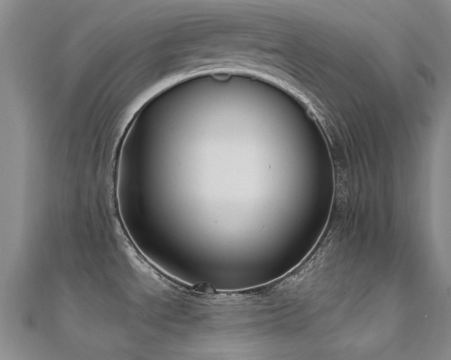 X0000112031534200908101327