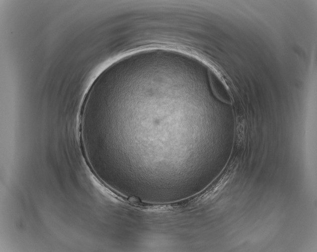 X0000112031535200908101327