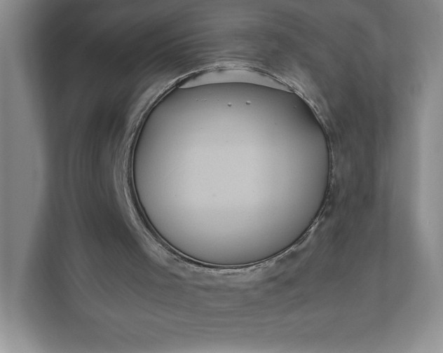 X0000112030001200908171500