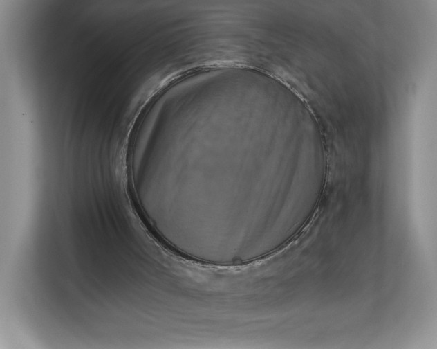 X0000112030002200908171500