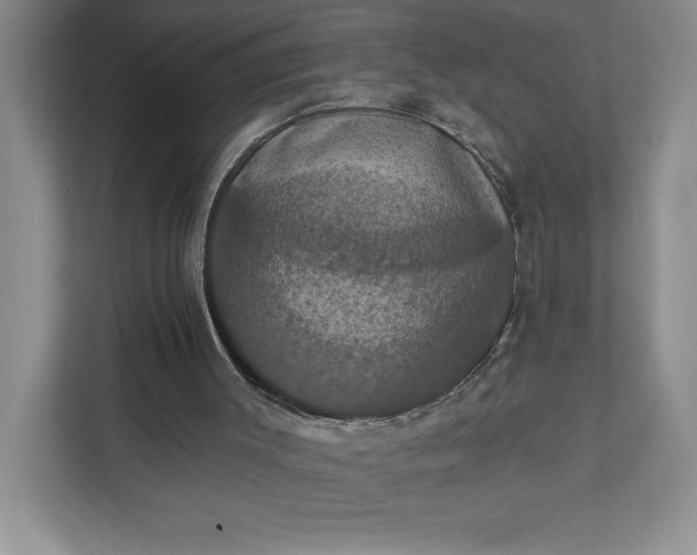 X0000112030003200908171500