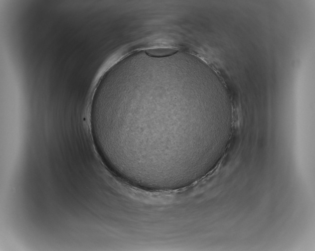 X0000112030004200908171500