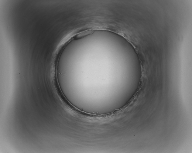 X0000112030005200908171500