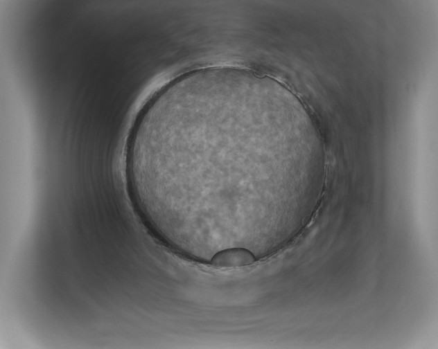 X0000112030006200908171500