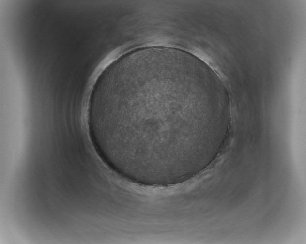 X0000112030007200908171500