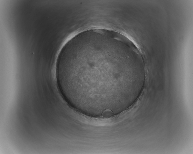 X0000112030008200908171500